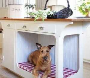 Tips for designing dog house in your apartment