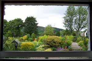 Tips for better Window view