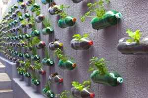 Verticle garden using plastic bottles